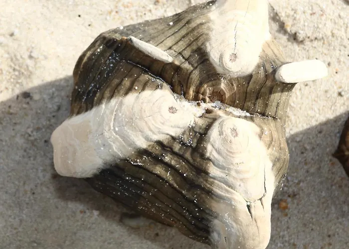 Morgenroth Apartament